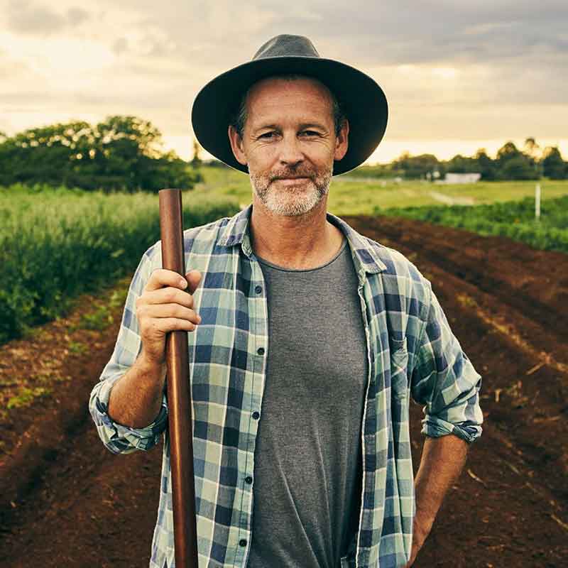 Farm%20Harvest